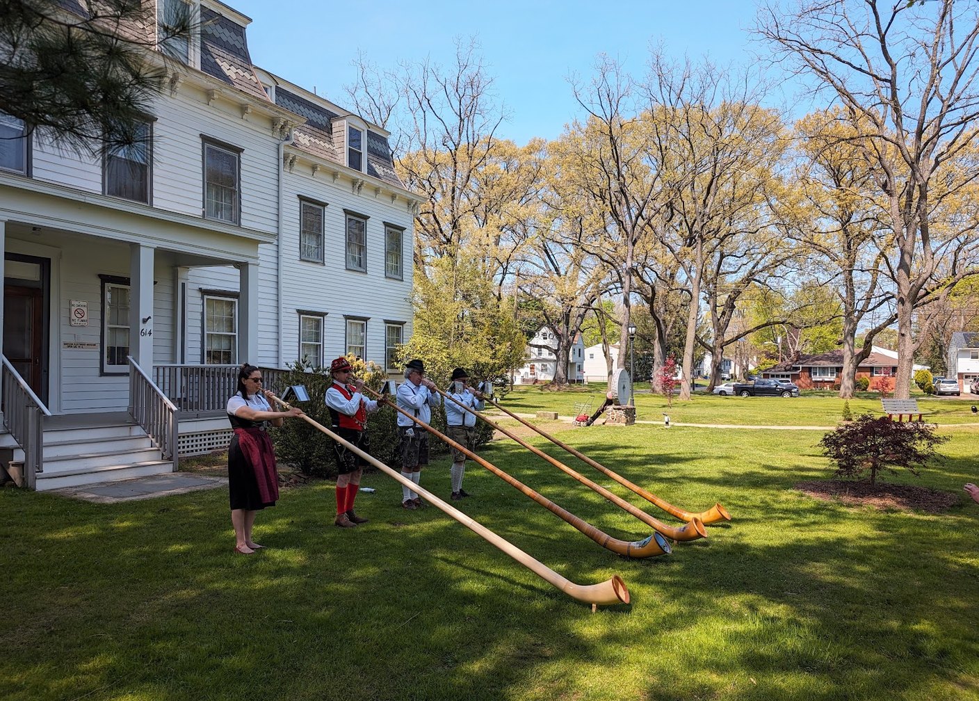 NJWA alphorn players lined up with their alphorns at an outdoor festival